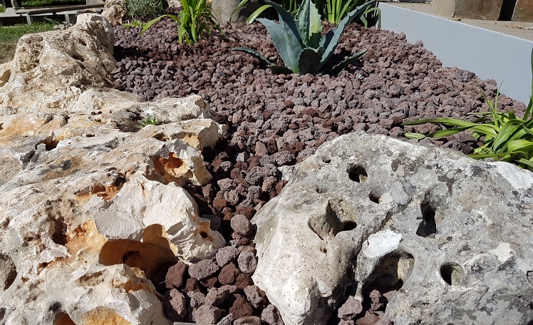 Paillage-pierres-lave-plantes-indigenes
