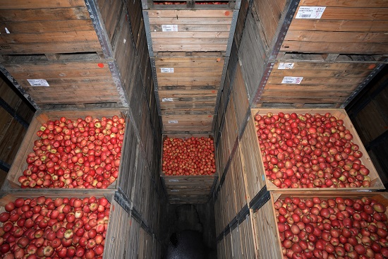 stockage-pommes-caisses