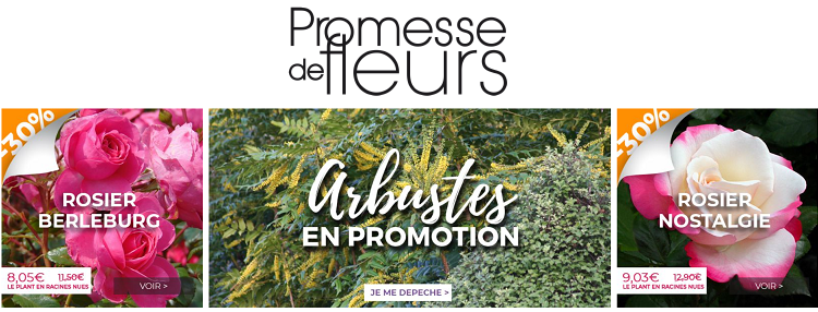 promotions-site-promesse-de-fleurs